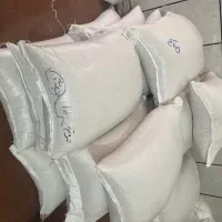 مستقیم شالیکوبی