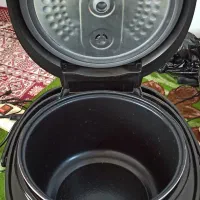 پلوپز برقی
