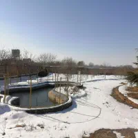باغ-فروشی-فوشنجان