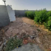 باغچه ۵۰۰متر چهاردیواری درشاهدشهر شهریار|فروش دفتر صنعتی، کشاورزی، تجاری|شاهدشهر, |دیوار