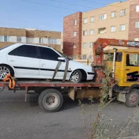 جرثقیل عامری ( خاور کفی دار )