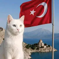 تور زمینی وان ترکیه 3شب و 4 روز اقامت