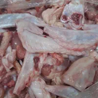 نوک بال و خورده استخوان ۱۲۰۰۰