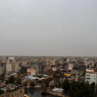 همخونه همخانه در برج