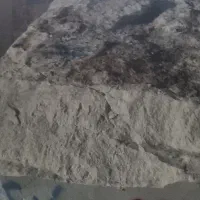 کارشناس مالی و حسابدار