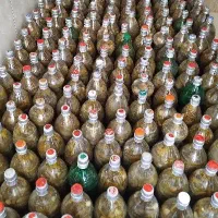 فروش خیارشور دبه نول،ممتاز،ویژه،بطری عمده وتک