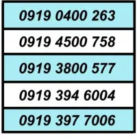 0919.2.45678.1|سیمکارت|پرند, فاز ۱|دیوار