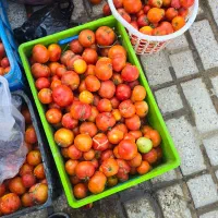 گوجه ربی|خوردنی و آشامیدنی|خنجین, |دیوار