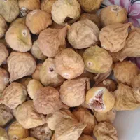 انجیر تازه امسال