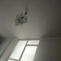 لوستر دوجفت