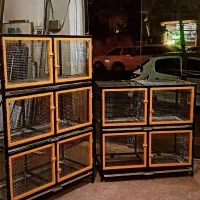 قفس جفتگاه لاکچری