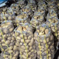 گونی شیشه ای