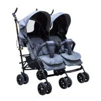 کالسکه دوقلو دلیجان