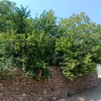 خانه باغ ویلایی الموت