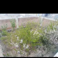 فروش یا معاوضه خانه ربیع اباد زردین با یزد|فروش خانه و ویلا|نیر (یزد), |دیوار