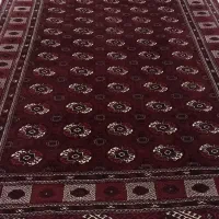 فرش ترکمنی|فرش|بندر ترکمن, |دیوار