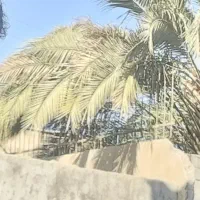 درب حیاط
