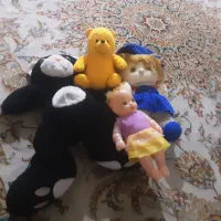 خرسی و گربه