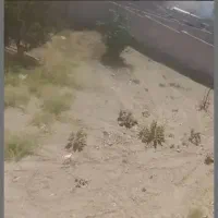 خرید فروش زمین در فاز دو محله دو