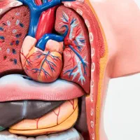 تدریس خصوصی زیست شناسی