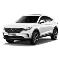 دیگنیتی پرستیژ / تحویل فوری/ تعداد محدود