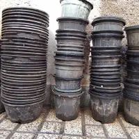 گلدان پلاستیکی
