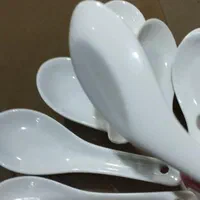 قاشق انار خوری چینی|ظروف سرو و پذیرایی|لنگرود, |دیوار