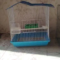 قفس پرنده