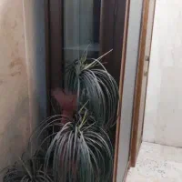 بوفه در حد نو