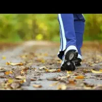 راهنمایی کنید