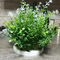 گیاه آکواریوم + غذای ماهی