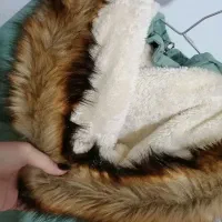 پالتو دخترانه|لباس|هشتگرد, هیو|دیوار