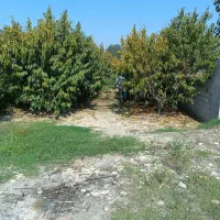 زمین 7۳۵ متر لبه جاده اصلی چمان به نکا