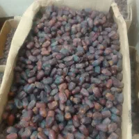 خرمای درجه یک