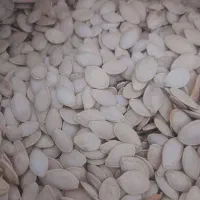 تخمه کدو باقیمت مناسب|خوردنی و آشامیدنی|میاندوآب, |دیوار