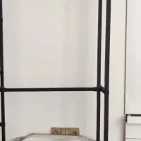 رگال