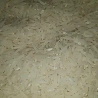 برنج طارم و شیرودی کیفیت بالا به قیمت عمده