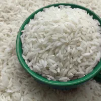 فروش برنج طارم هاشمی