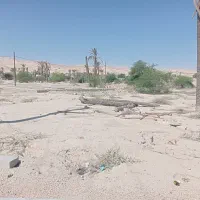 زمین چاهورز