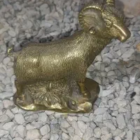 فروشی|کلکسیون سکه، تمبر، اسکناس|جهرم, |دیوار