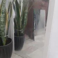 اینه۵۰ در ۶۰ سالم سالم مفت