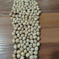 نخود ترکیه درجه یک