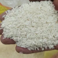 برنج‌صدری‌هاشمی‌