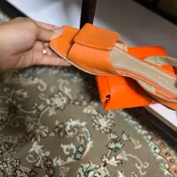 کیف وکفش درحد نو|کیف، کفش، کمربند|سبزوار, عظیمیان|دیوار