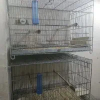 قفس پرنده