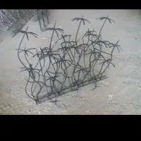 حفاظ شاخ گوزنی (آقای خاص)