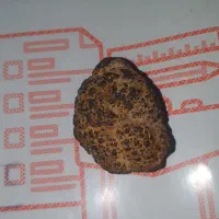 شهاب سنگ دیوژنیت