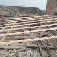 فروش خرید چوب|خدمات باغبانی و درختکاری|گرگان, |دیوار