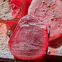 ذغال پرتقال|کوهنوردی و کمپینگ|زابل, |دیوار