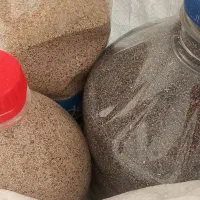 بذر کشاورزی